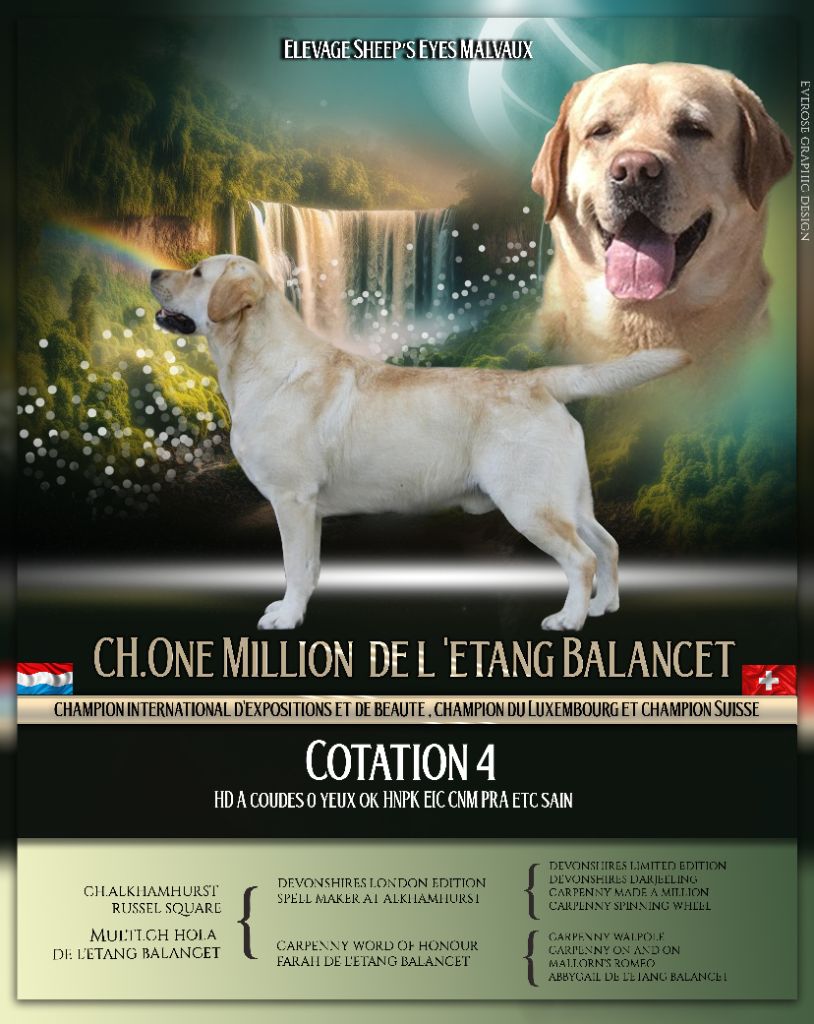 CH. One million de l'étang balancet De L'Etang Balancet